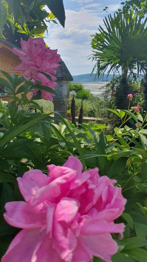Apartment Laurus Portoroz Ngoại thất bức ảnh